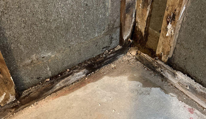 Basement Water Leak and Wood Rot