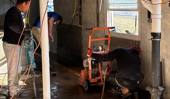 Basement maintenance service