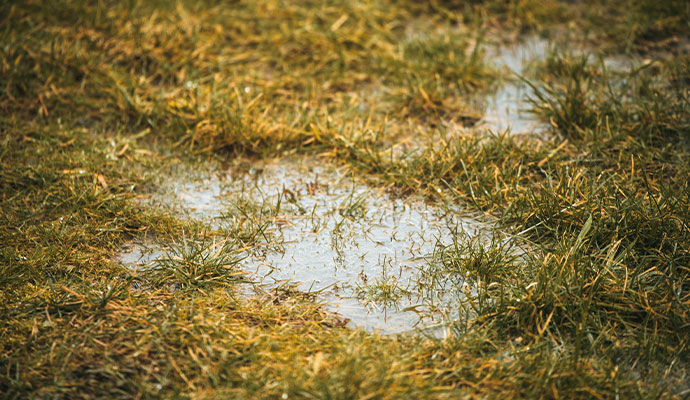 Standing water near the foundation