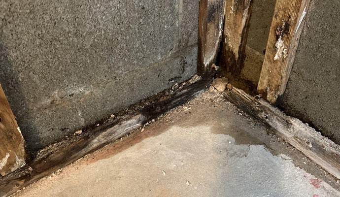 Water-damaged basement corner with visible wood rot