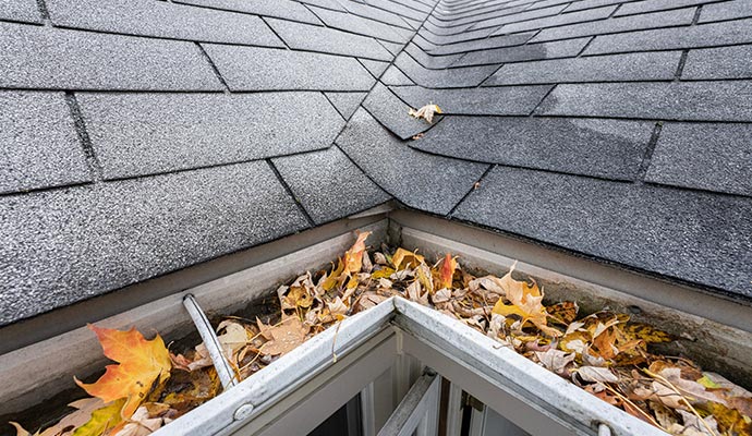Clogged gutter with leaves and debris