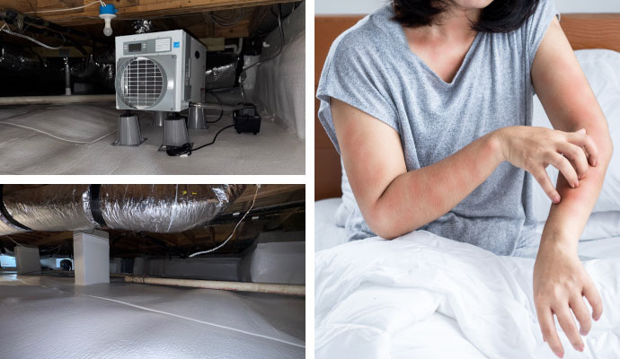 Collage of dehumidifier installation, basement waterproofing, and allergen issues