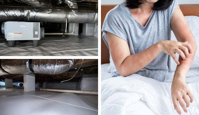 Collage of moisture control services