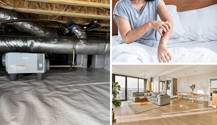 Collage showing professional crawl space dehumidifier installation, improved indoor air quality, and allergy relief.