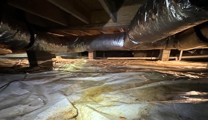 Crawl Space Waterproofing 3 Crawl Space Waterproofing 3