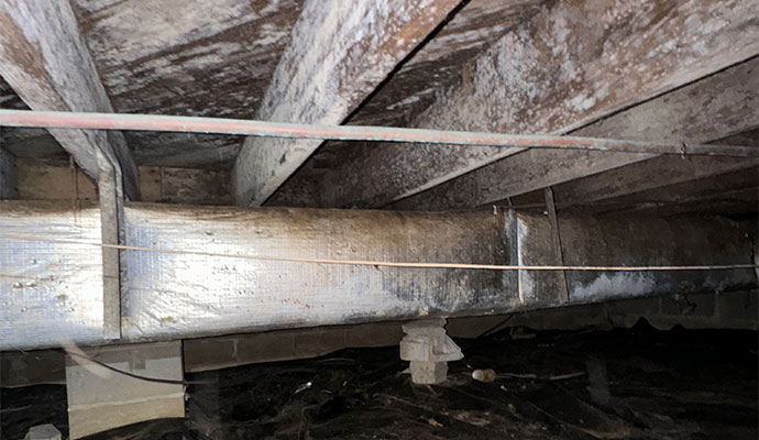 Damp crawl space showing white mold growth on wooden floor joists