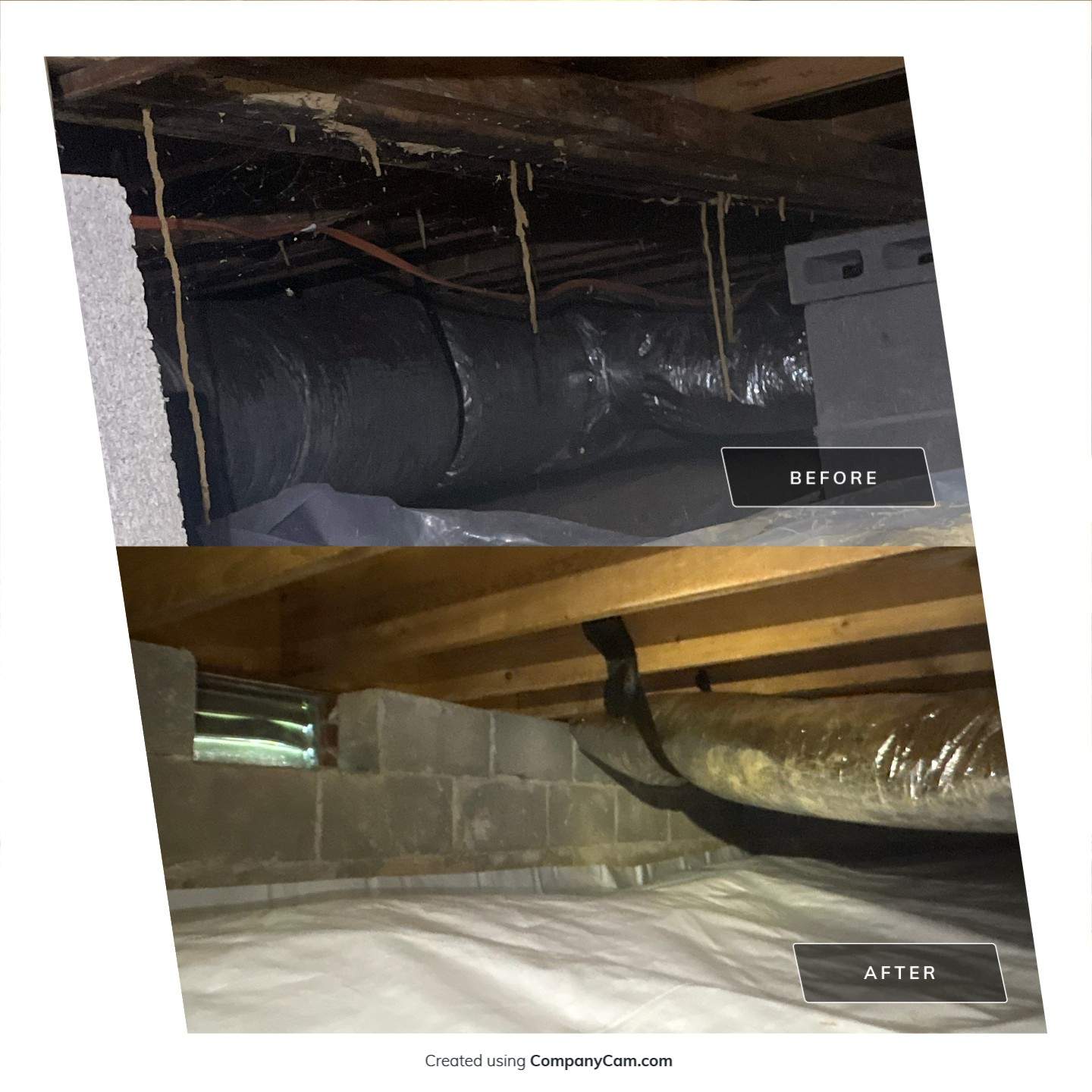 Before & After Damaged Subfloor Replaced, Organic Growth Treated & Vapor Barrier Installed
