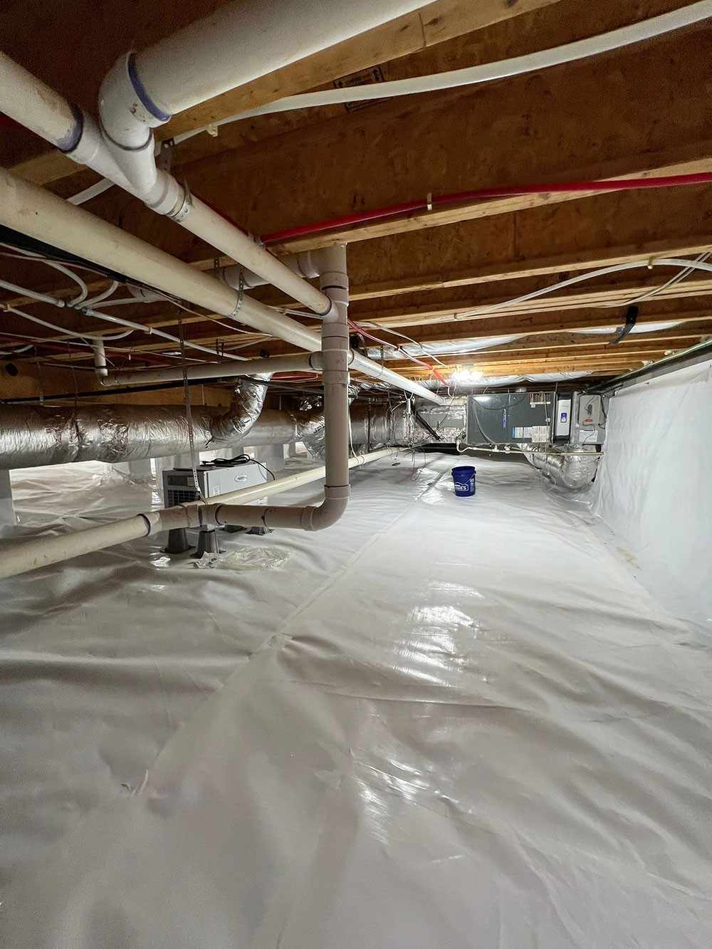 Finished Crawlspace Encapsulation