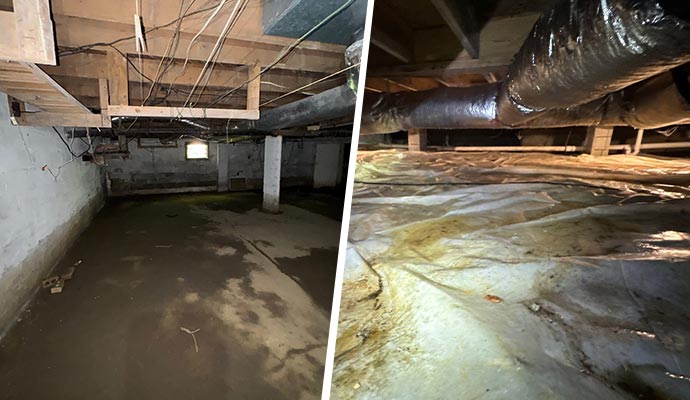 Moisture Control Services 5 Moisture Control Services 5