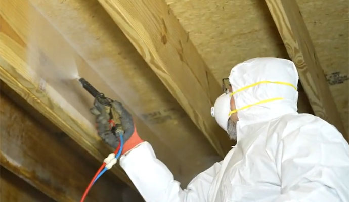 Disinfecting and Treatment of Fungal and Mold in Nashville and Murfreesboro